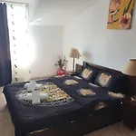 Casa Lions