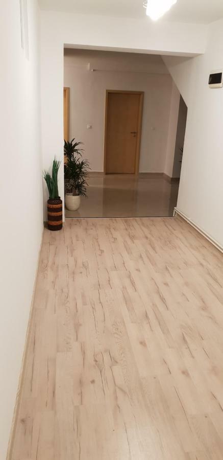 Casa Lions 2* Timişoara