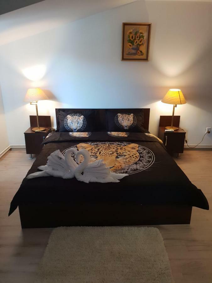 Casa Lions Timişoara